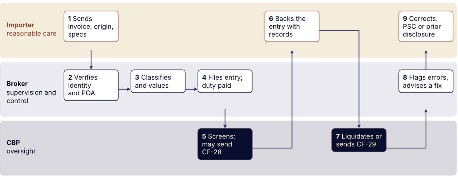 Importer, broker, and CBP responsibilities throughout the entry process