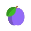 Medplum