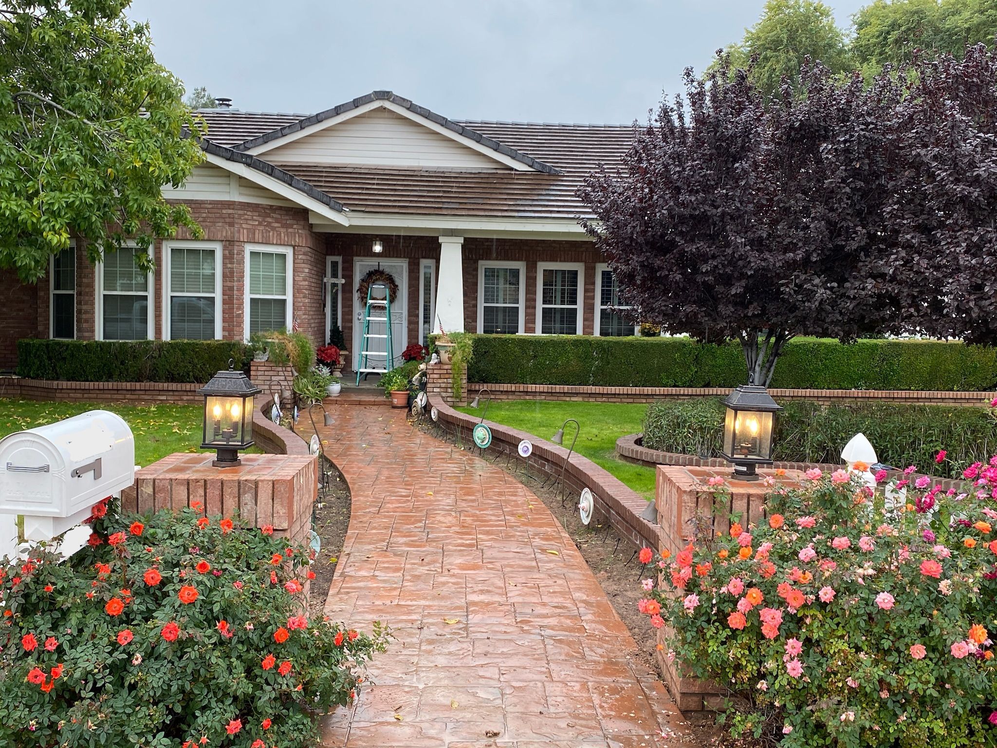 Lamp posts lighting a brick front walk lined with roses