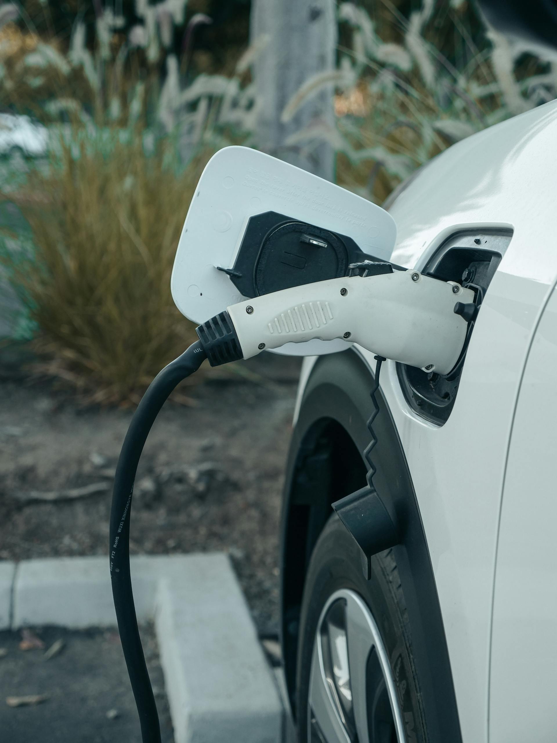 A charging cable plugged into the port of a white electric car parked by desert grasses