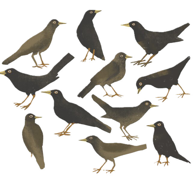 Tjitske Kamphuis hero