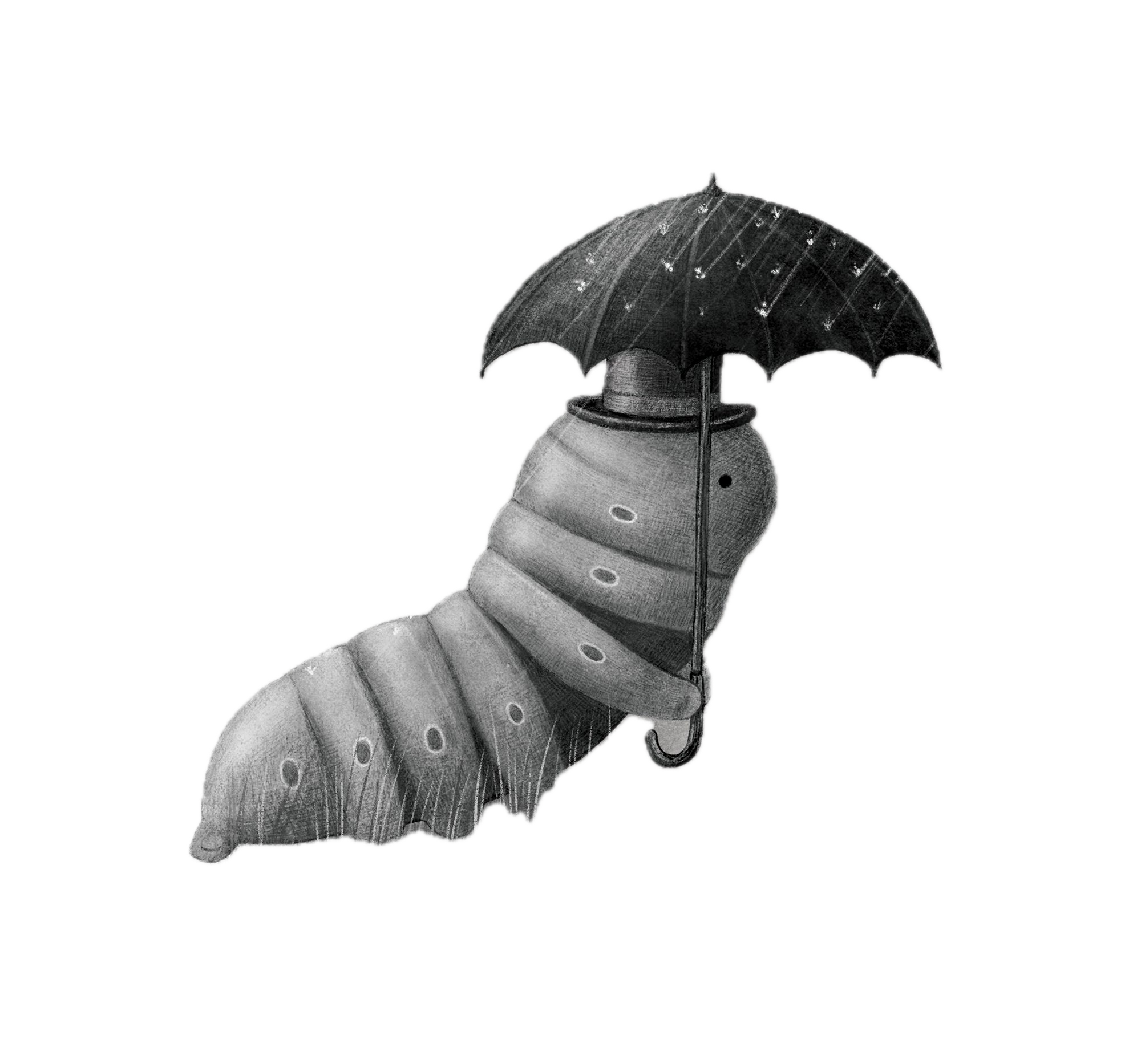 The Fan Brothers hero