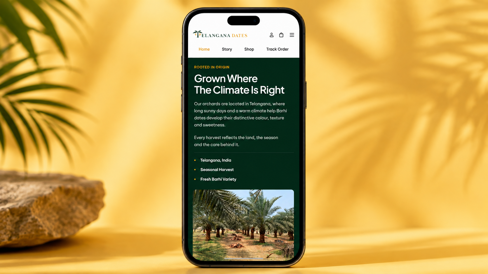 Telangana Dates website design