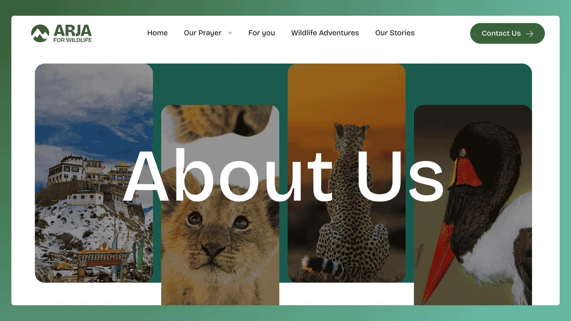 Arja for Wildlife Branding