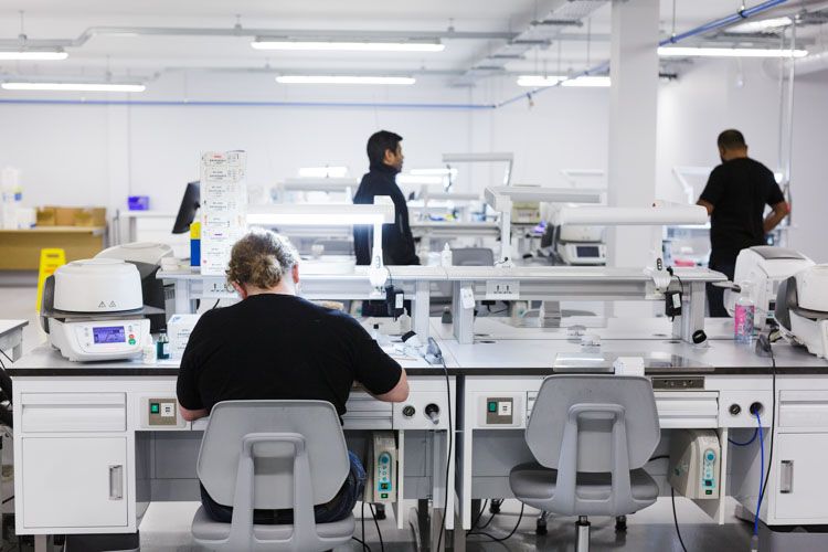 A clinical laboratory with multiple technicians working at automated analyzer stations equipped with medical diagnostic equipment in a bright, white-walled facility.