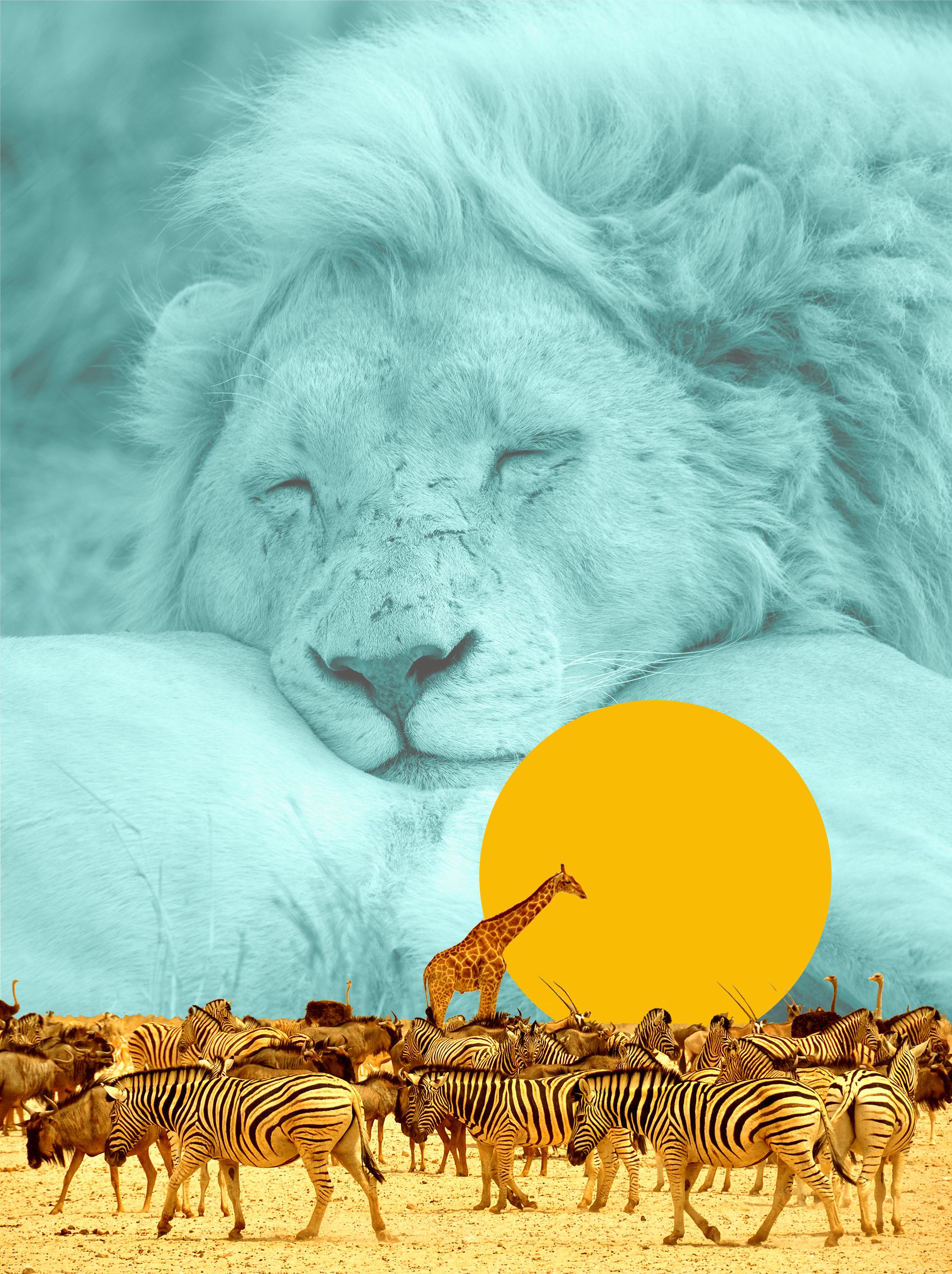 day dream