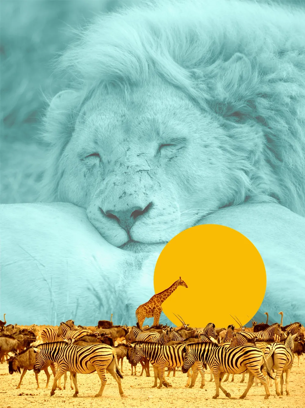 day dream