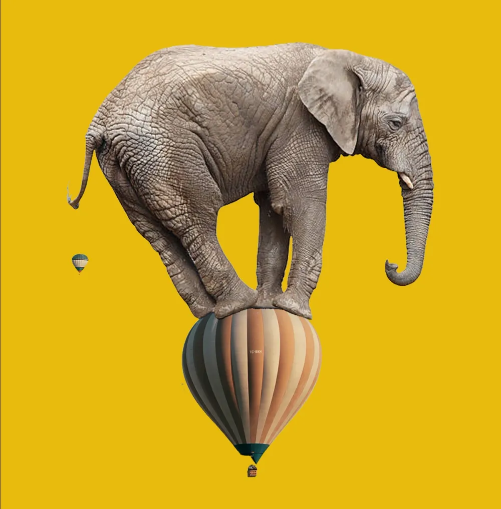 circus fro sky