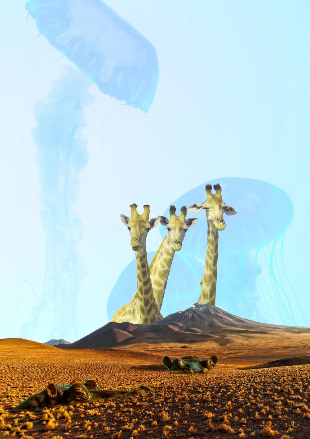 Giraffe