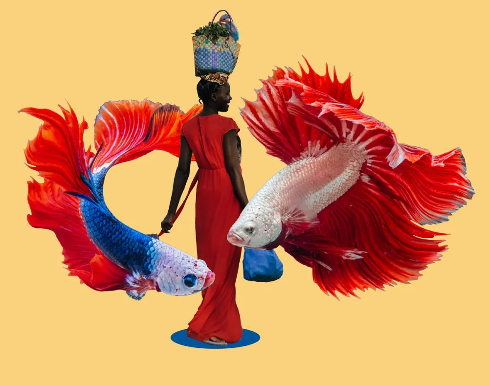 moment fish