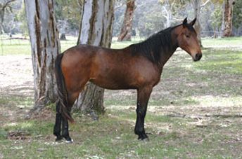 Connie — photo 2