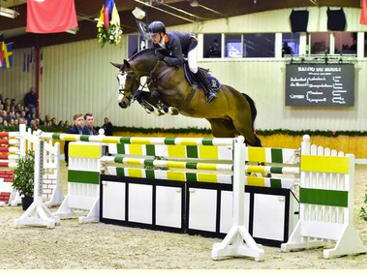 Balou du Rouet — photo 2