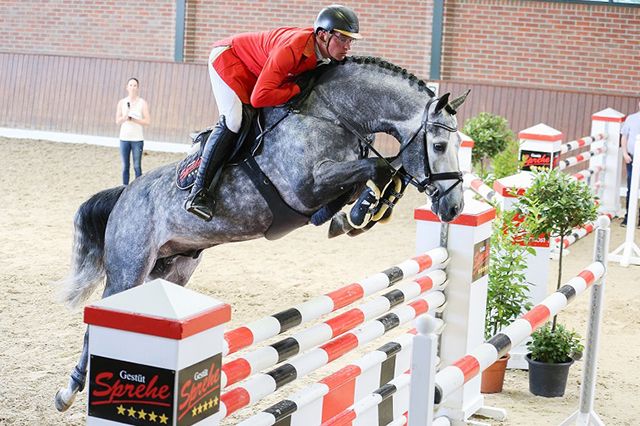 Hickstead White — photo 2