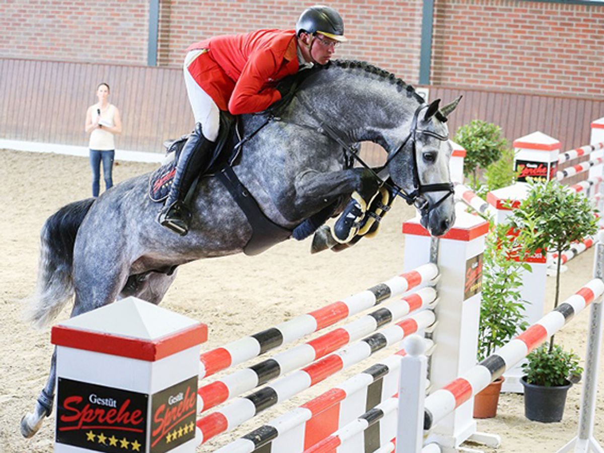Hickstead White — photo 2