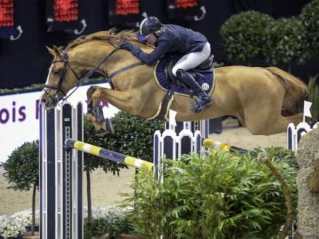 Arezzo VDL