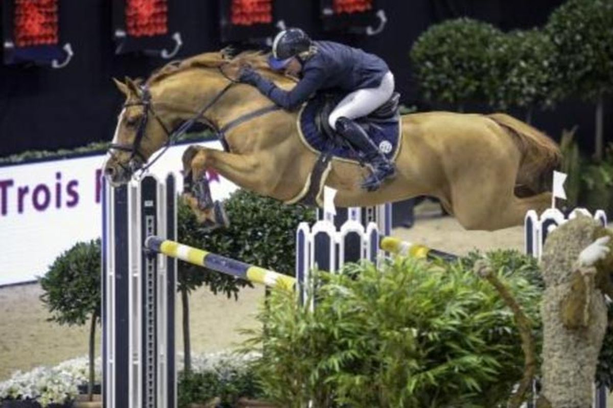 Arezzo VDL