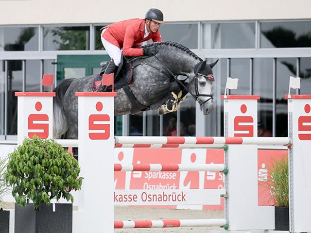 Hickstead White