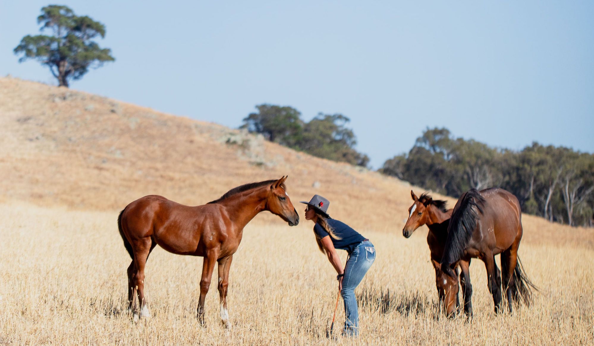 Dani Stefanutti touching noses with a young bay foal in a Tulara paddock