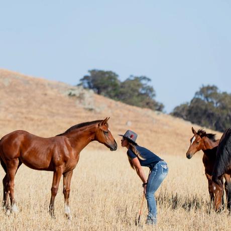 Dani Stefanutti touching noses with a young bay foal in a Tulara paddock