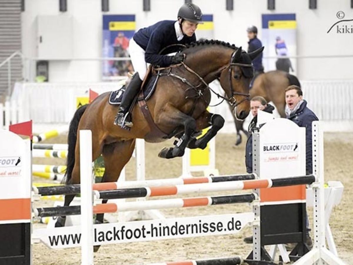 Zinedream — photo 3
