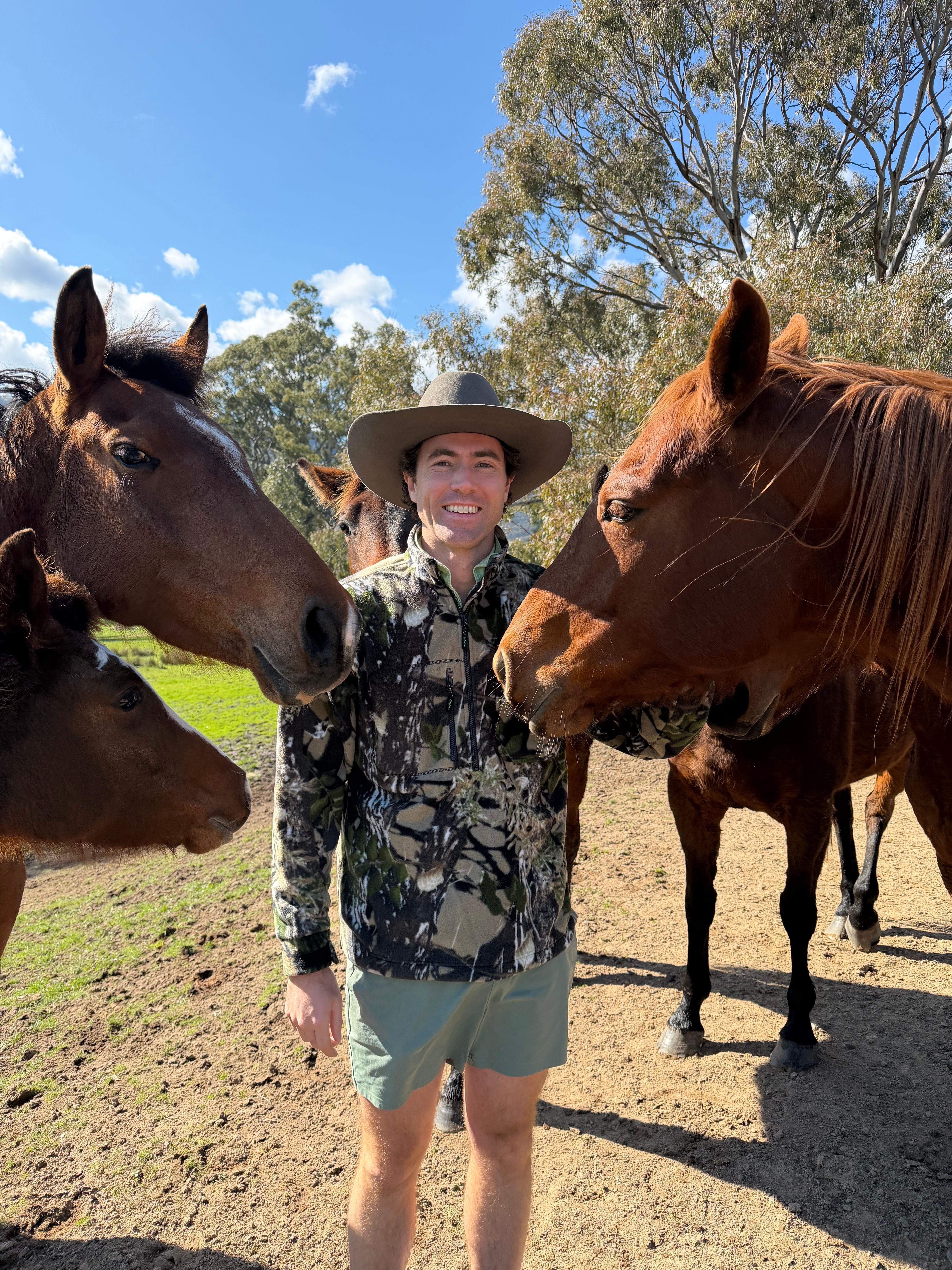 Nick and the horses