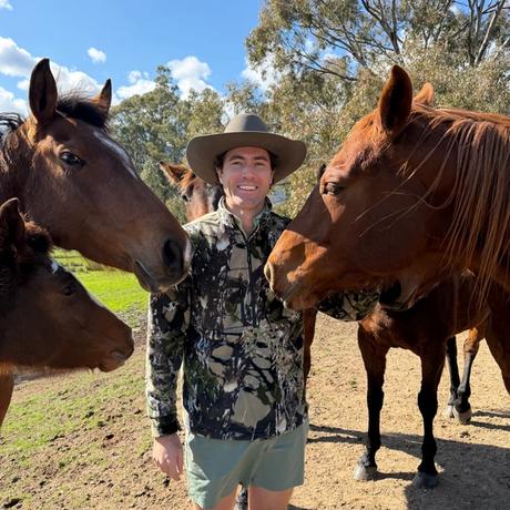 Nick and the horses