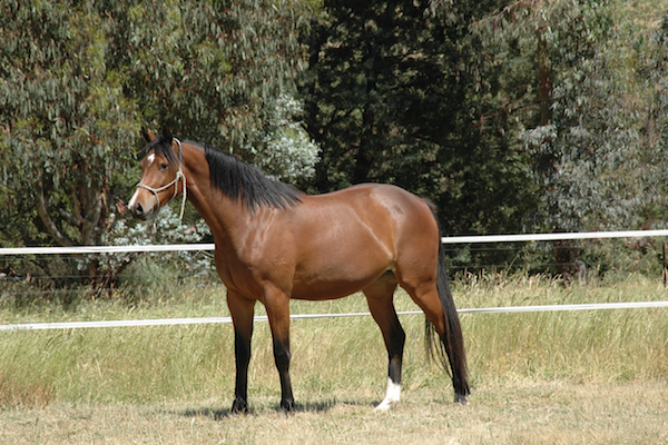 Tulara Balco — photo 2