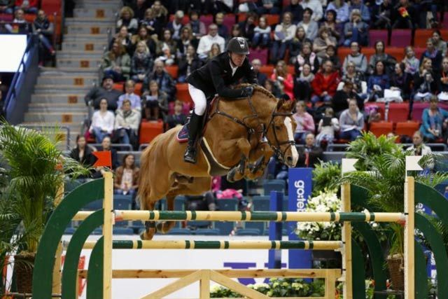 Arezzo VDL — photo 2