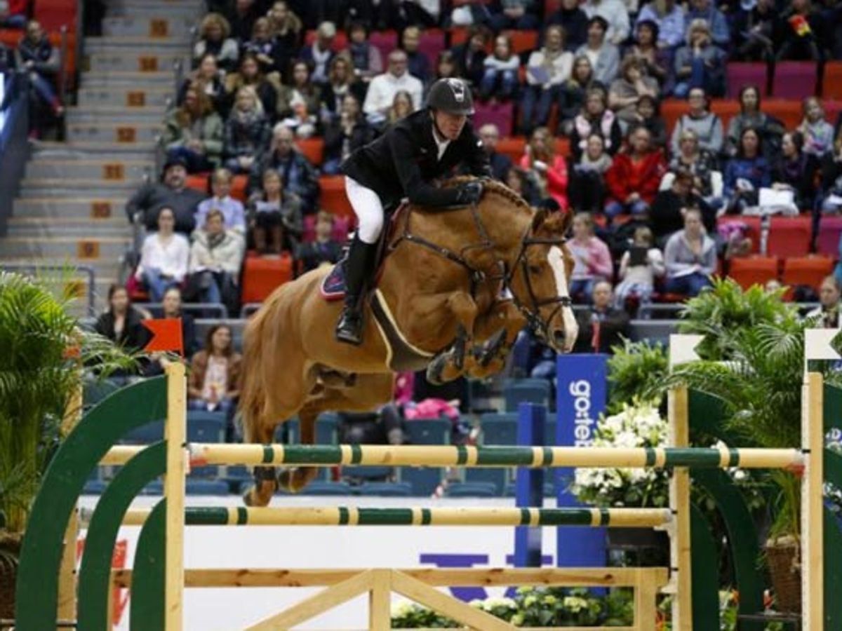 Arezzo VDL — photo 2