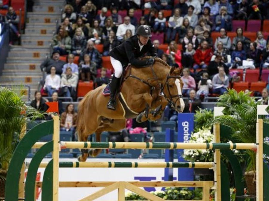 Arezzo VDL — photo 2