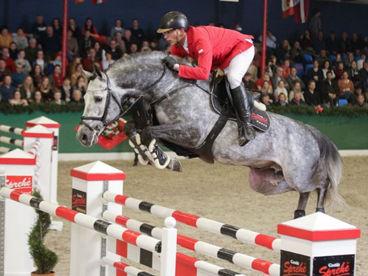 Hickstead White — photo 3