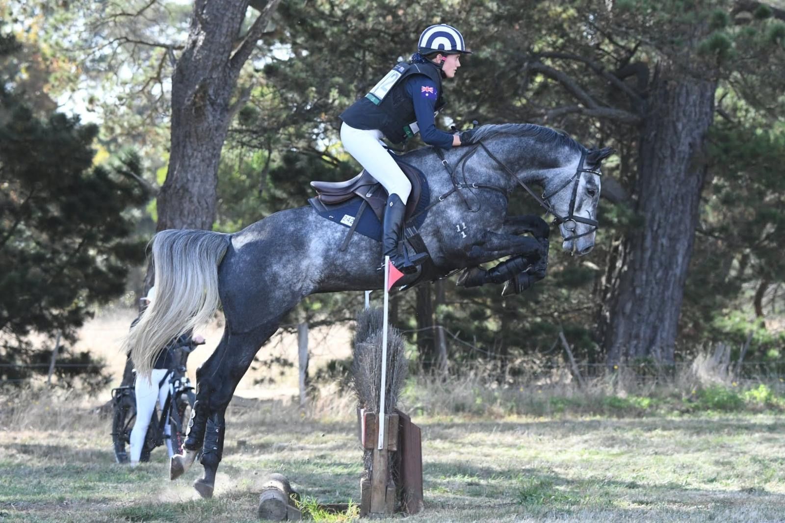 Punchline jumping 3