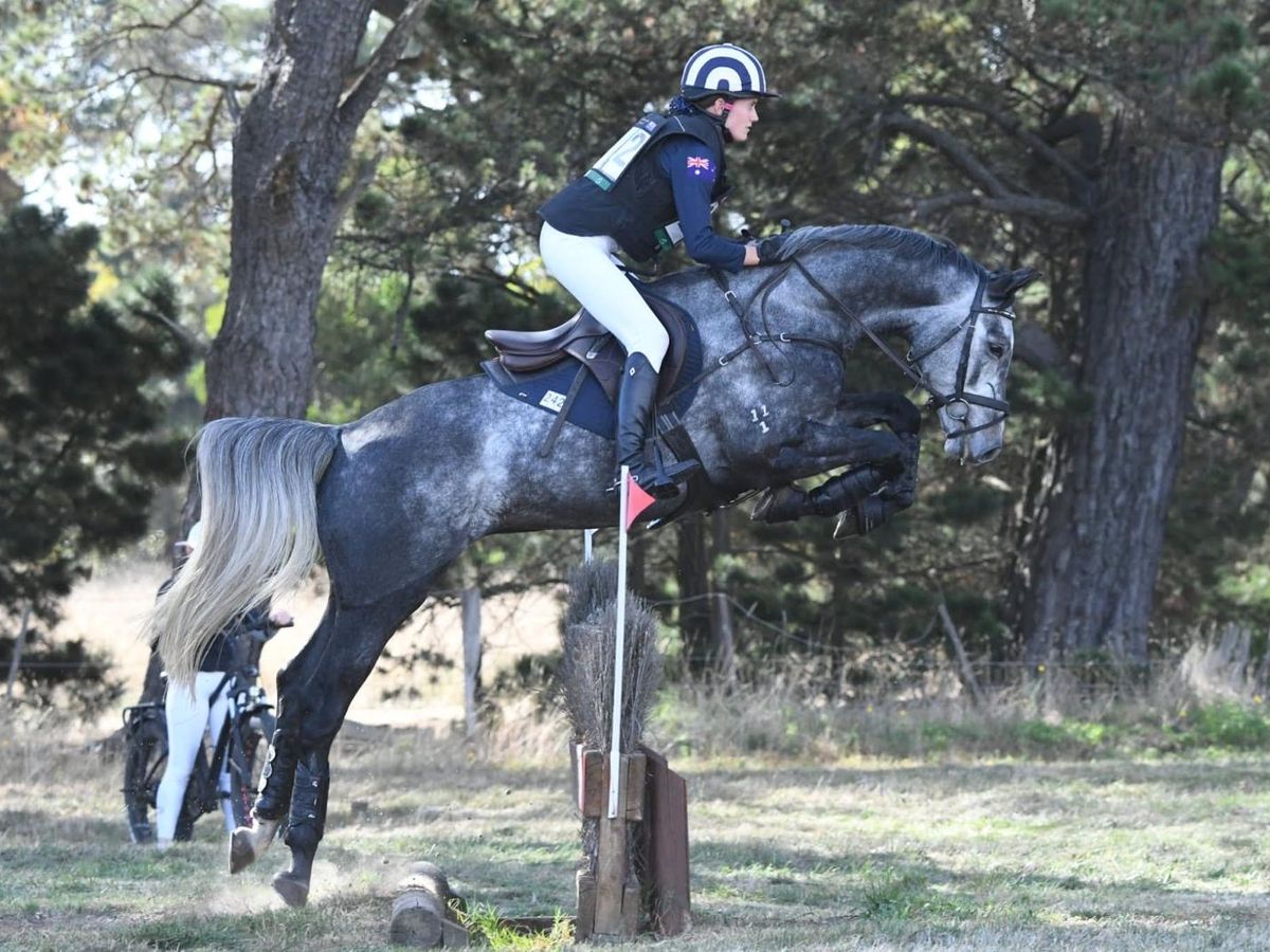 Punchline jumping 3