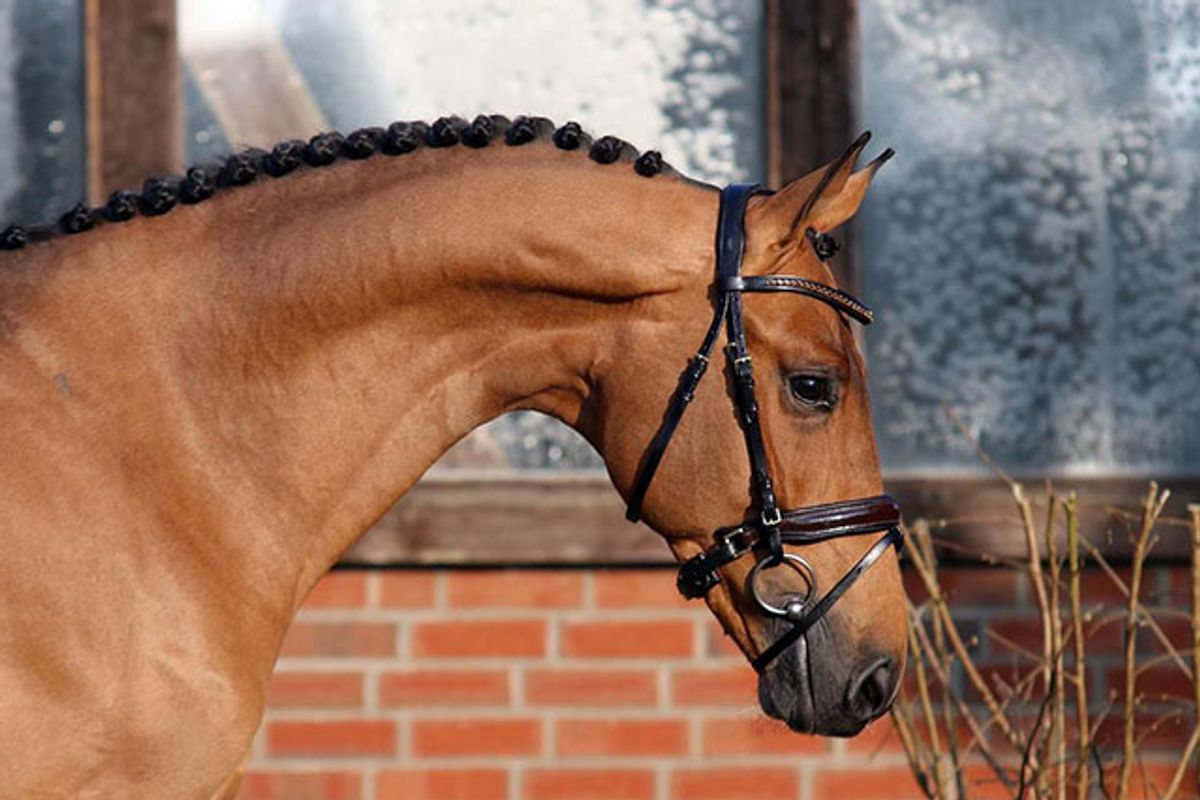 Jaloubet K