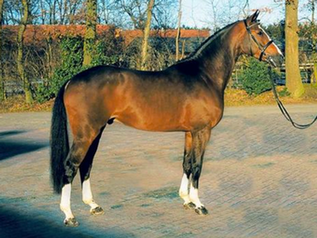 Balou du Rouet