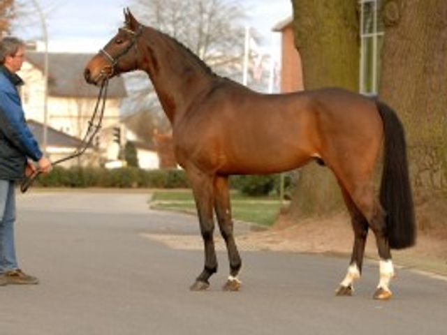 Quinar