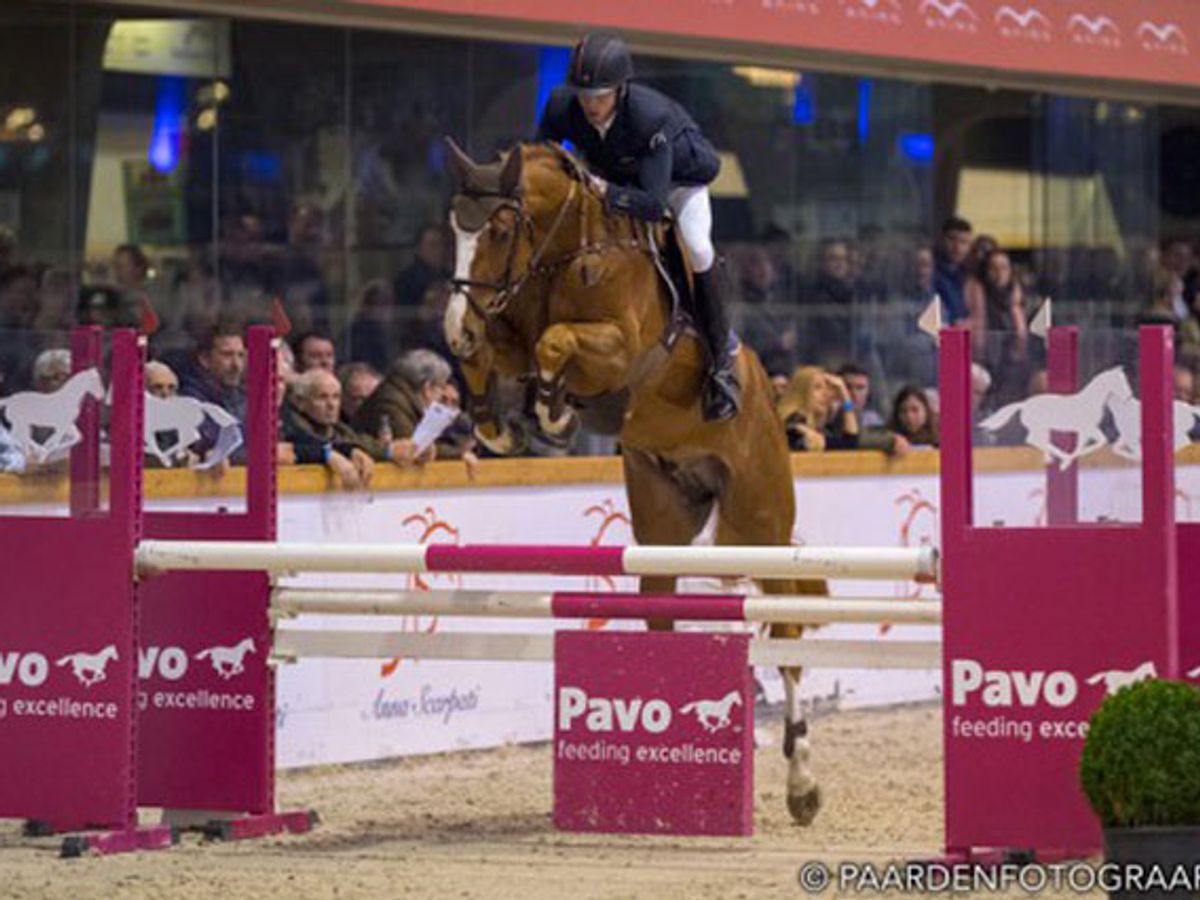 Nixon van’t Meulenhof — photo 3