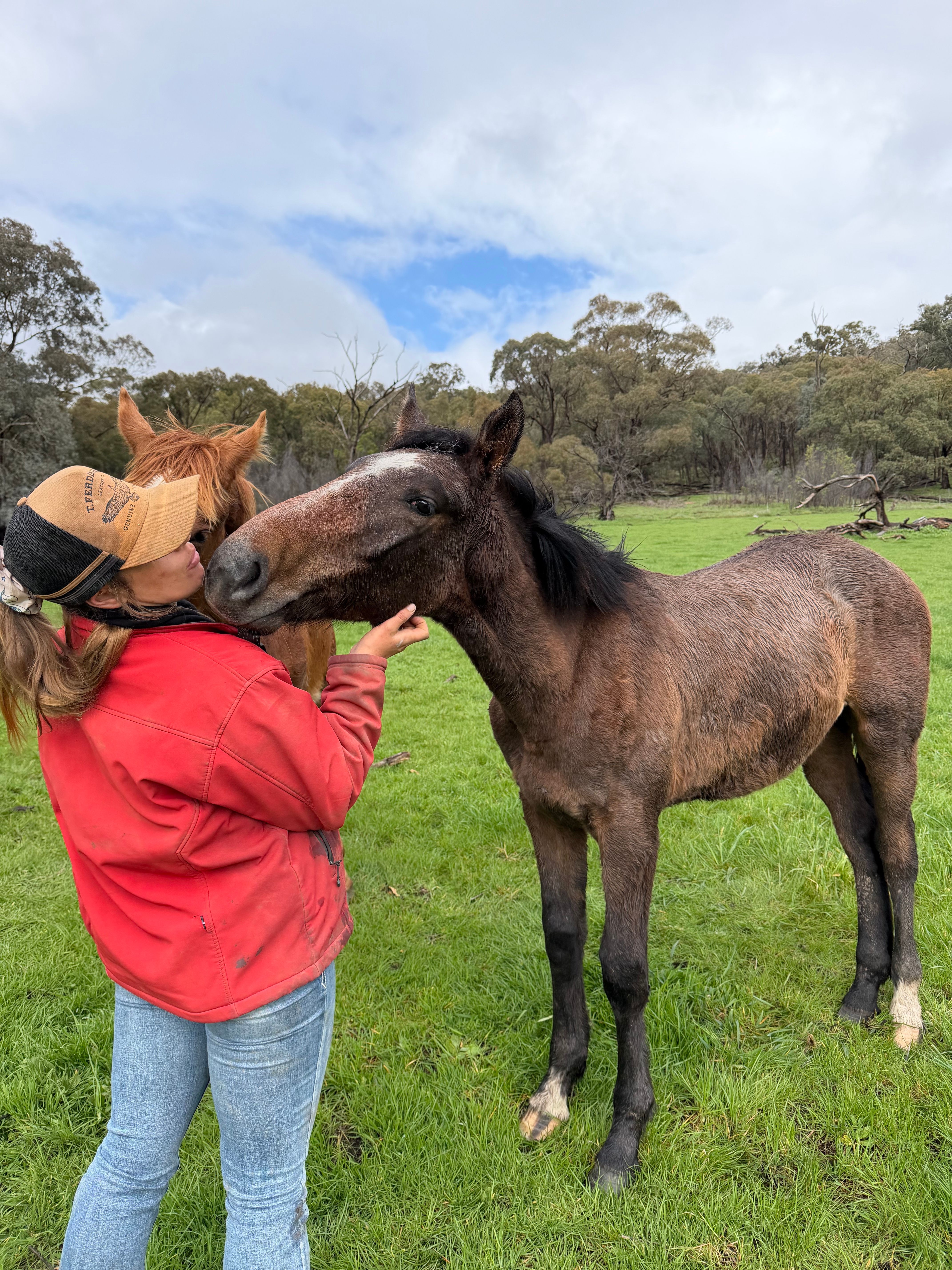 Emberocco playing with horse in paddock.