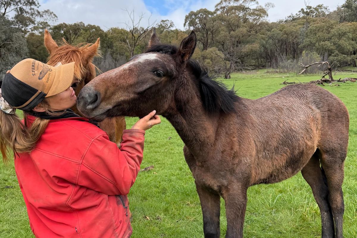 Emberocco playing with horse in paddock.