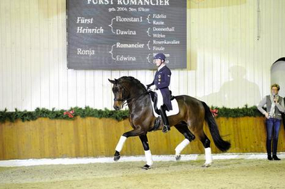 Furst Romancier — photo 2