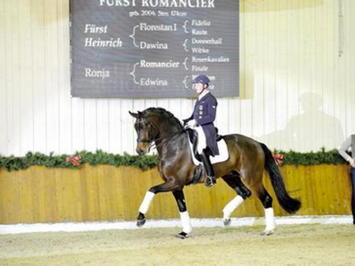 Furst Romancier — photo 2