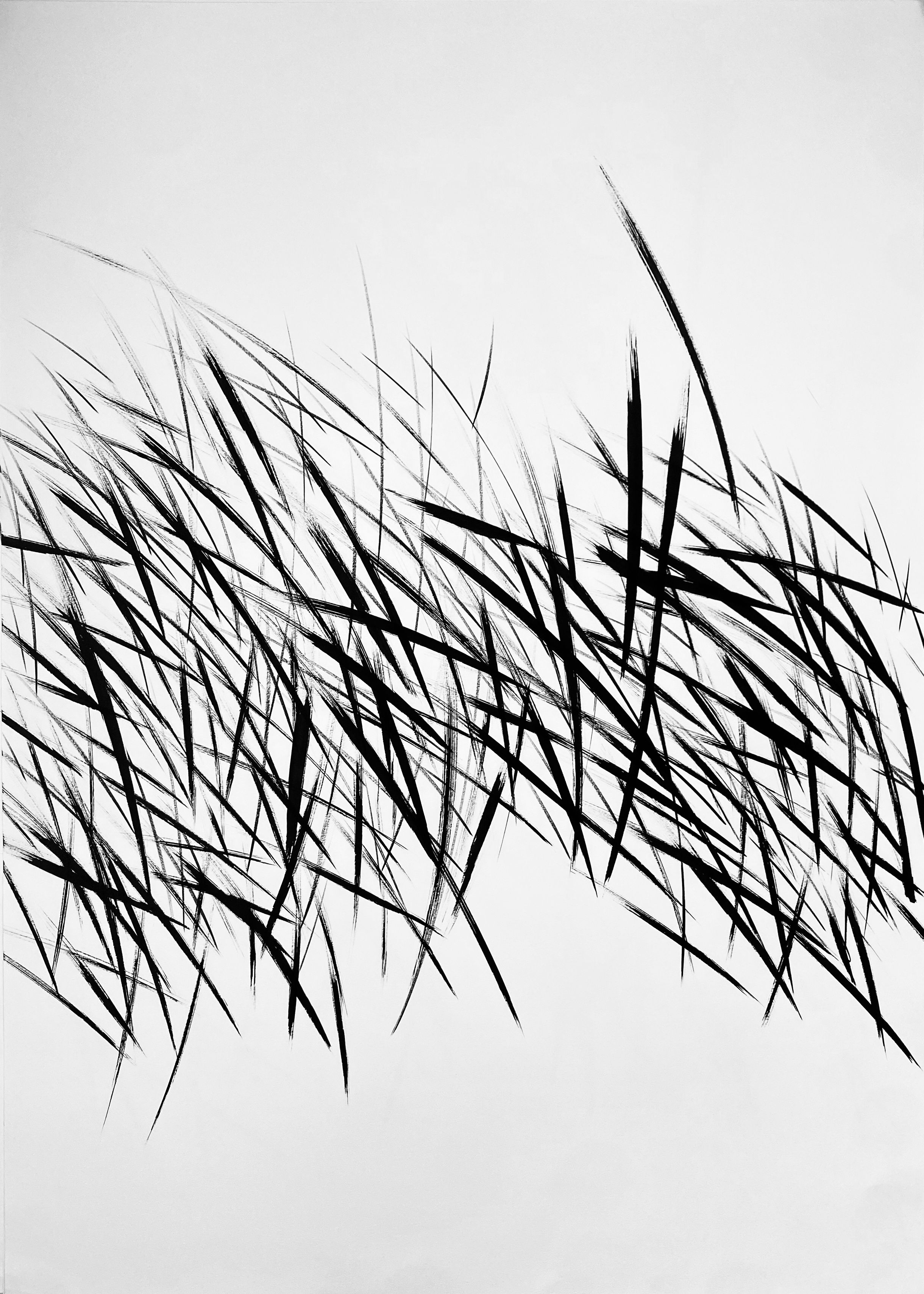 Rob Mackenzie gallery 3