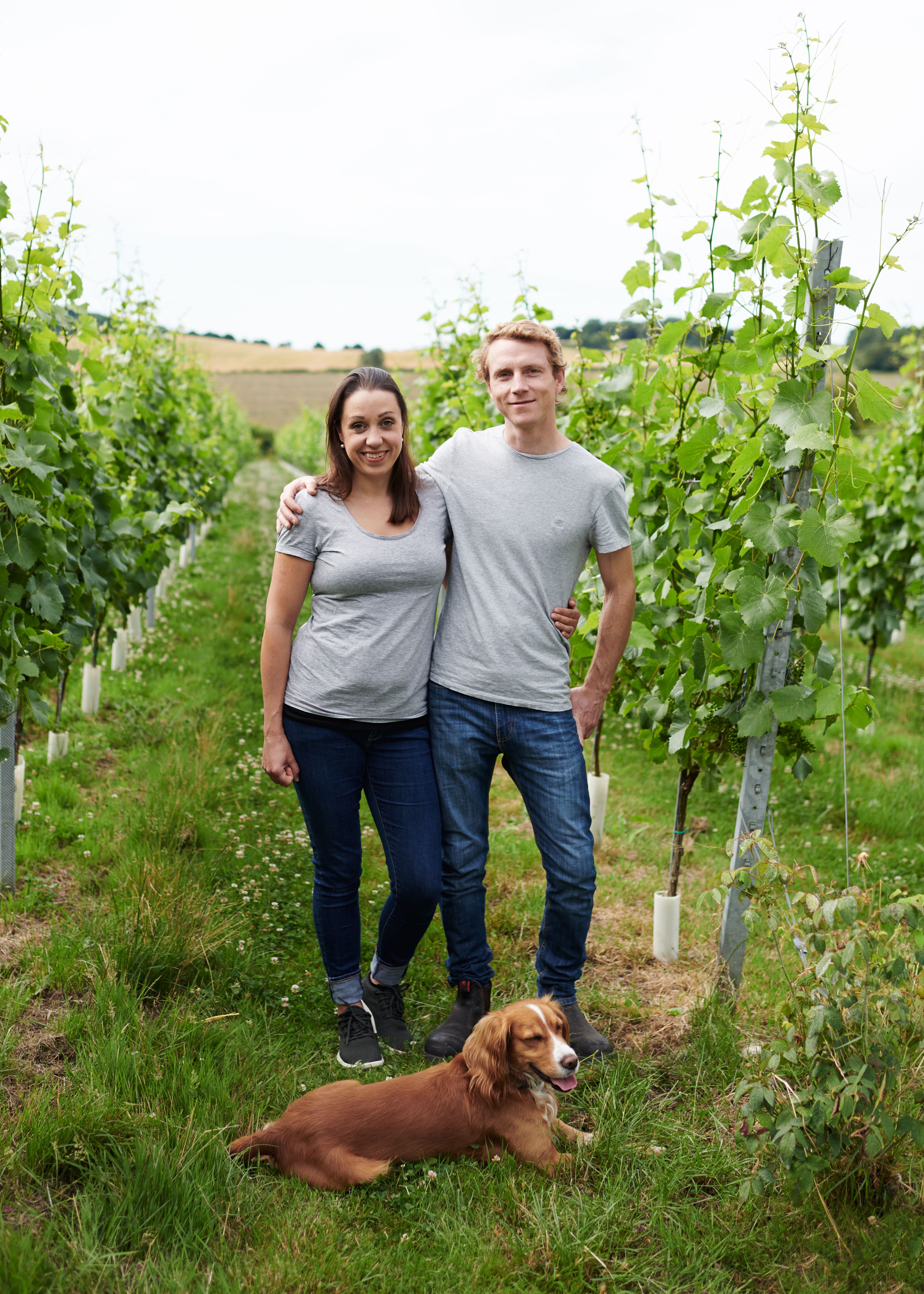 Offbeat Wines