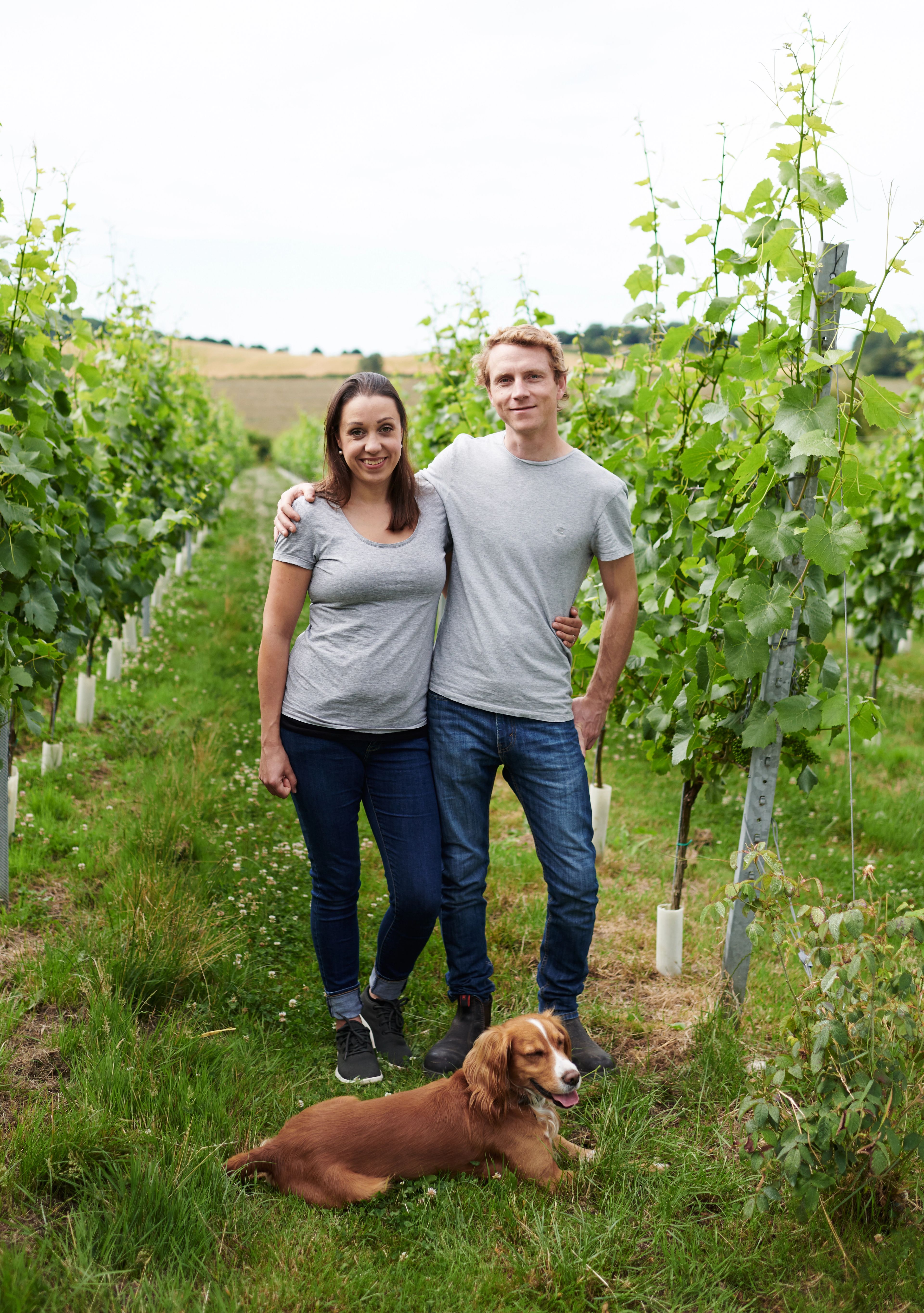 Offbeat Wines