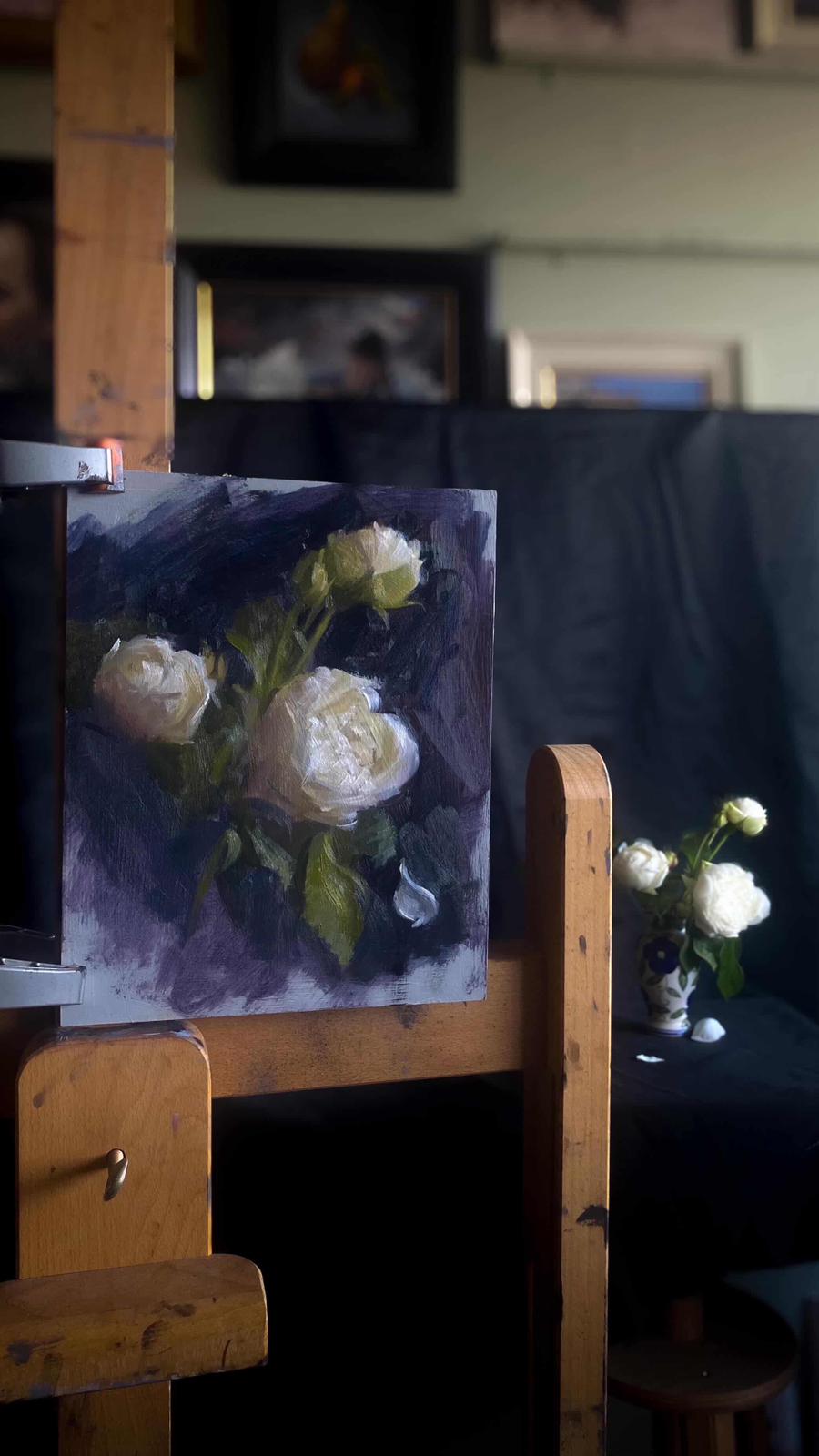 Toby Gawler gallery 4