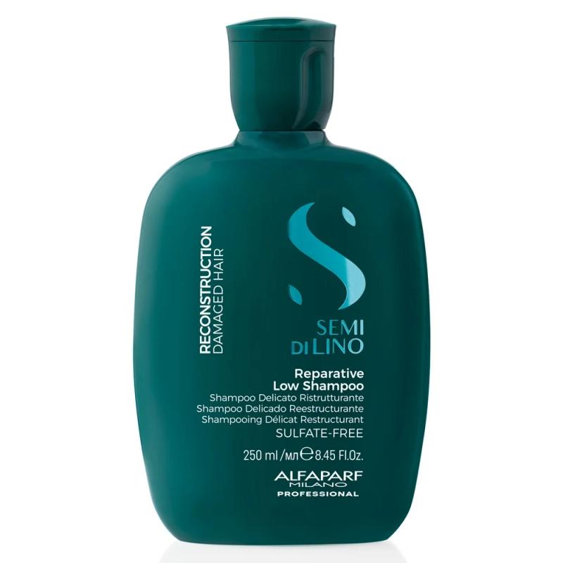 Reconstruction Reparative Shampoo