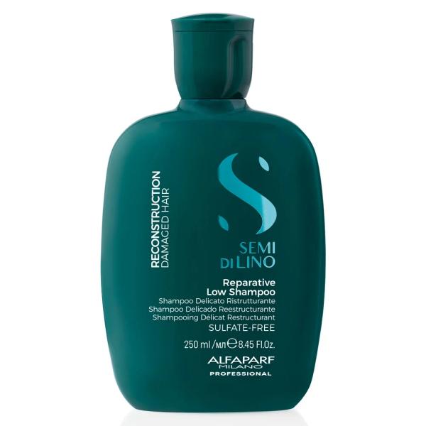 Reconstruction Reparative Shampoo