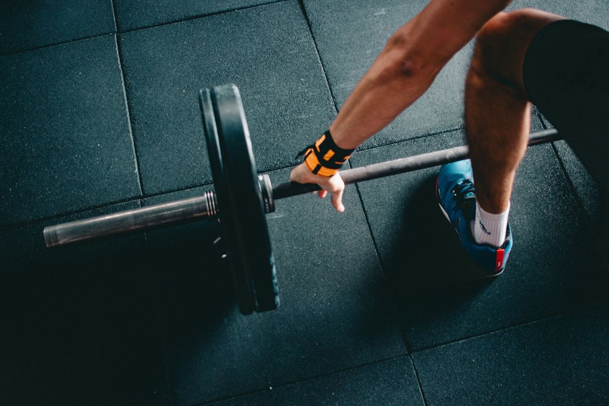 Pulse Mobile Fitness Companion