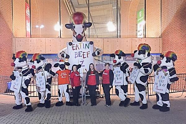 Chickfila Mascots