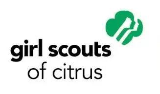 Girl Scout Troop Simplifies Fundraising